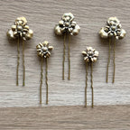 Ensemble de pinces à cheveux Edora