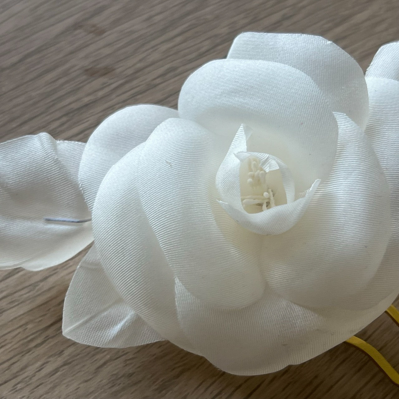 Forcina con Coppia di Camelie