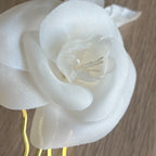 Forcina con Camelia