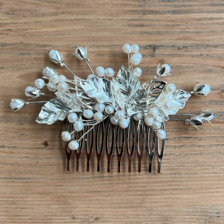 Pettinino Agave Argento