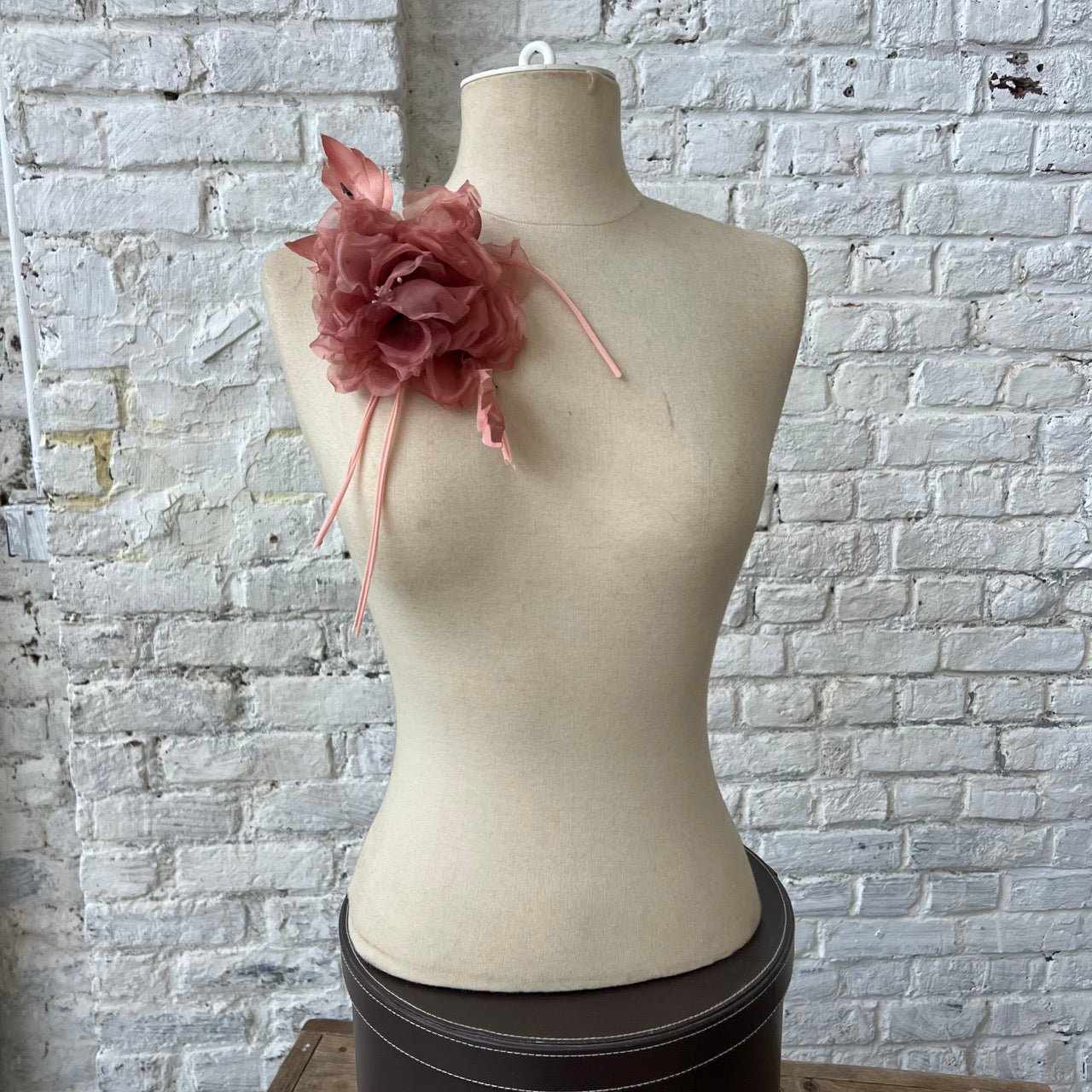 Rosa Carnosa Rosa Caldo in Seta